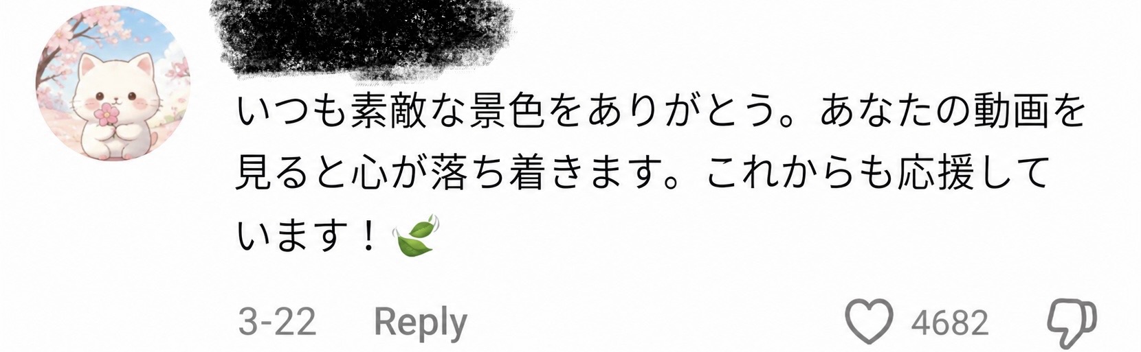 TikTok fan message in Japanese