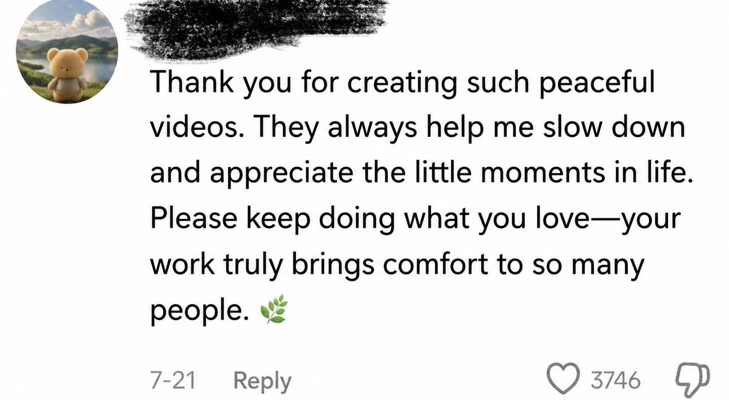 TikTok fan message in English