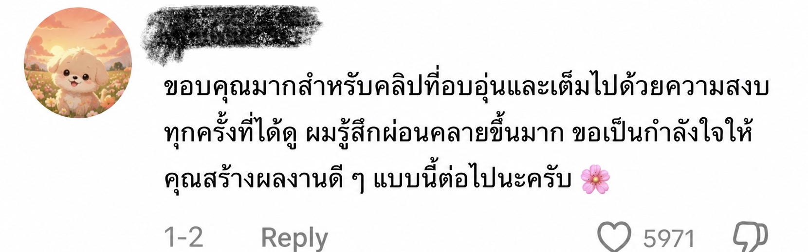 TikTok fan message in Thai