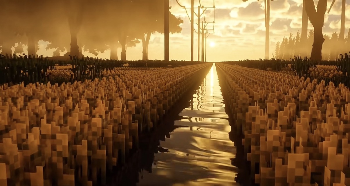 Golden Wheat Field 3