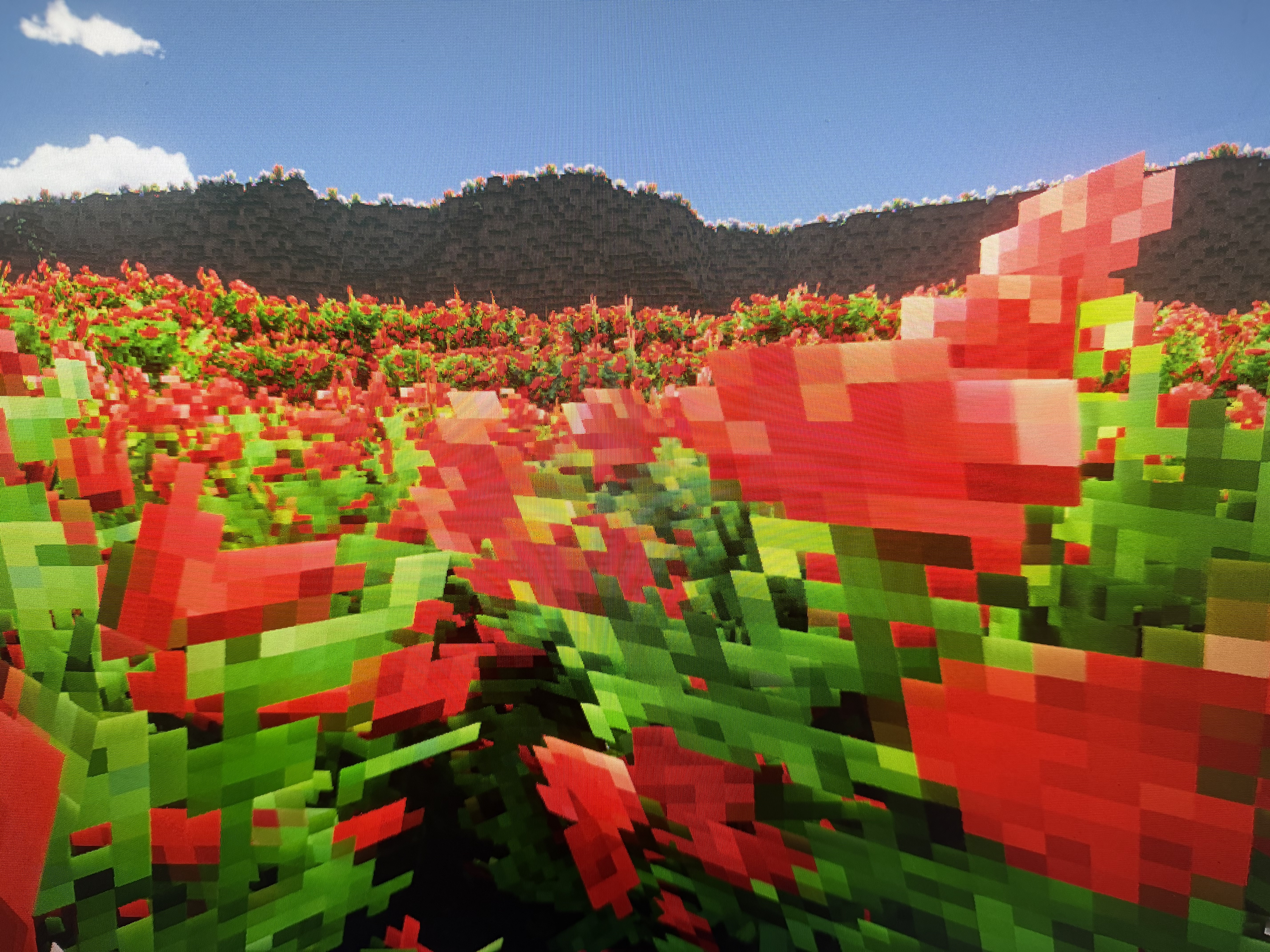 Rose Valley 1