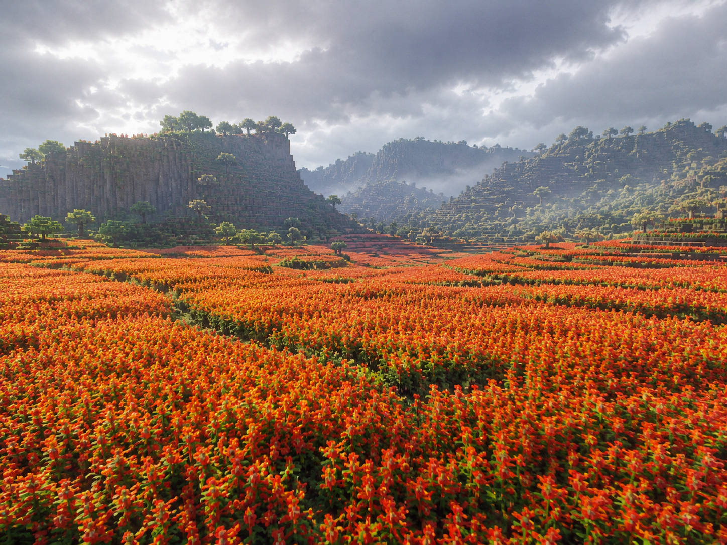 Rose Valley 2