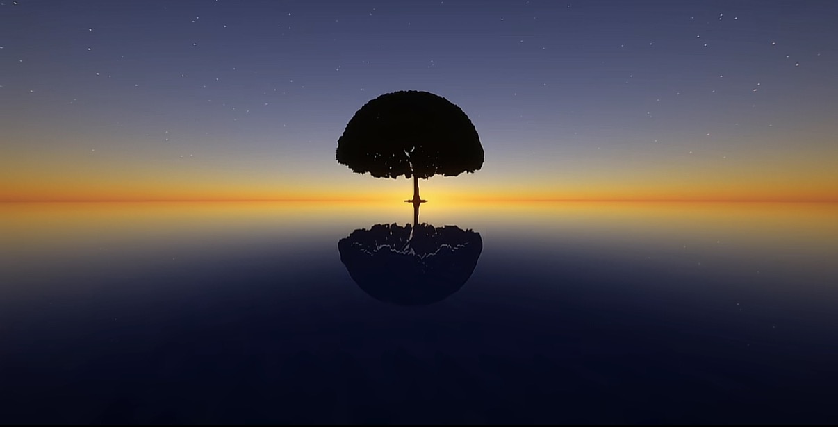 Sky Mirror 2