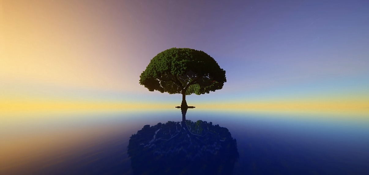 Sky Mirror 3