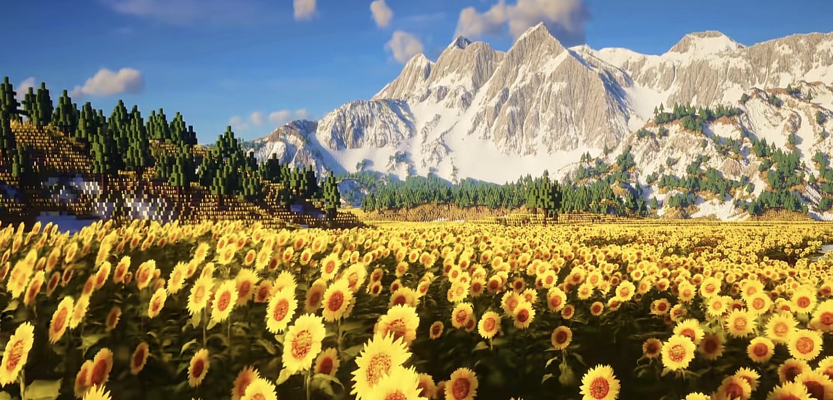Sunflower Valley 1