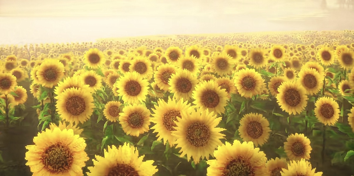 Sunflower Valley 3
